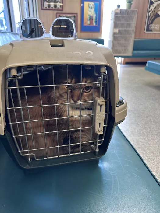 A & A Veterinary Hospital 8