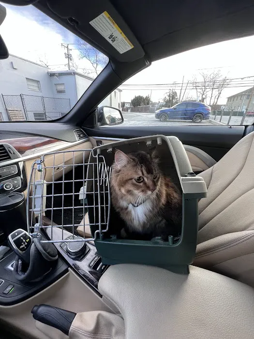 A & A Veterinary Hospital 7
