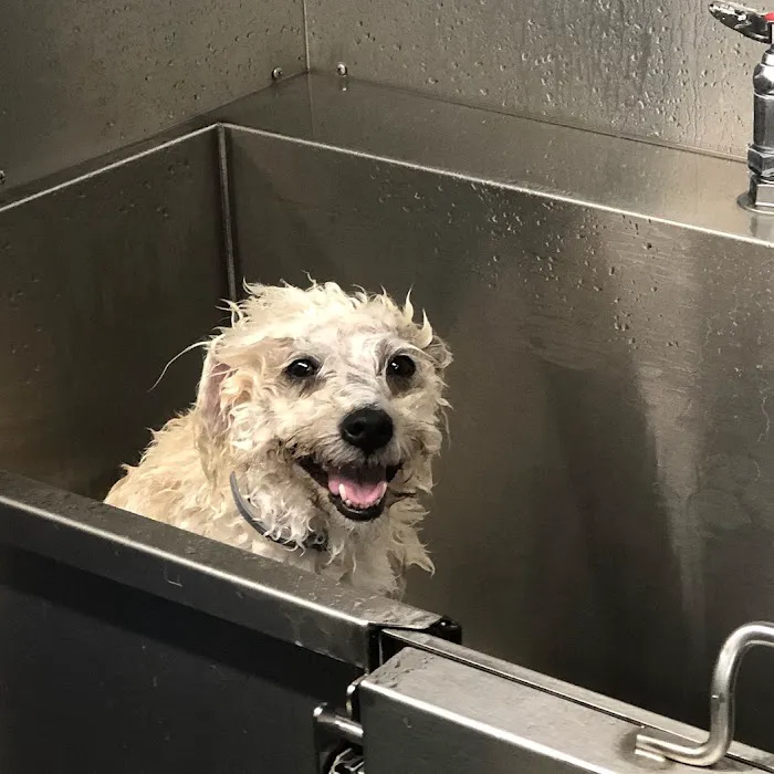 Banfield Pet Hospital 2