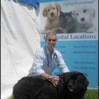 Gary Dattner D.V.M ico