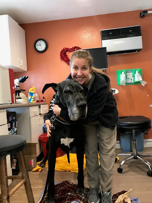 Garden City Park Animal Hospital 8