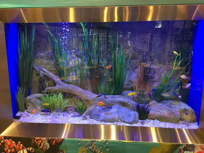 AquaHaus LLC 2