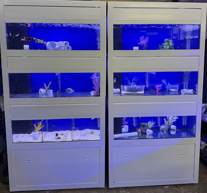 AquaHaus LLC 8