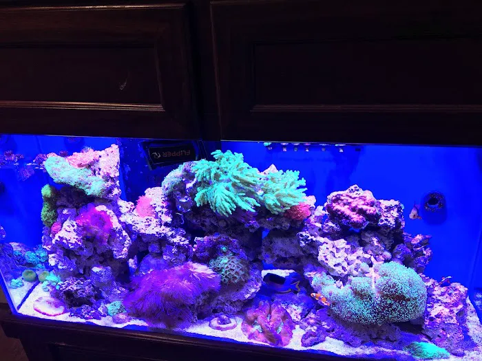 AquaHaus LLC 10