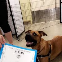 Vetco Vaccination Clinic ico