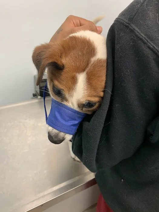 Merrick Blvd Animal Hospital 7