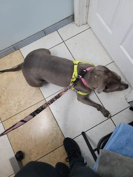 Merrick Blvd Animal Hospital 9
