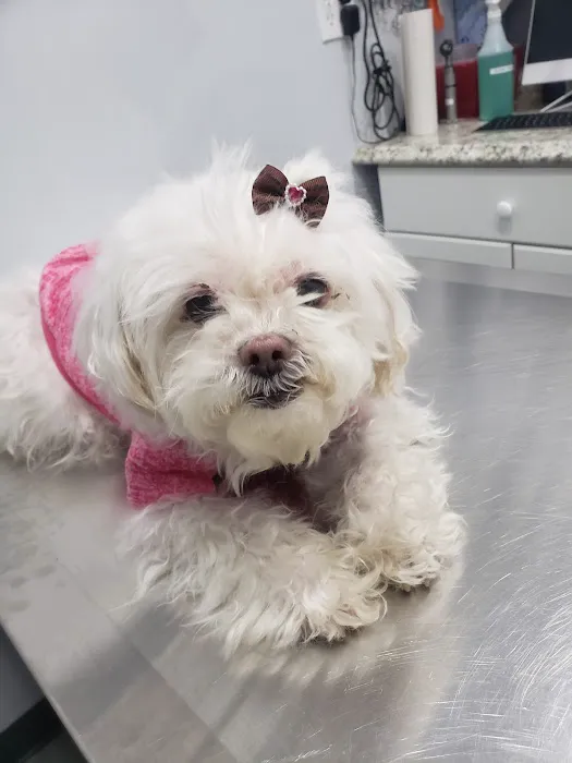 Value Veterinary Clinic 1
