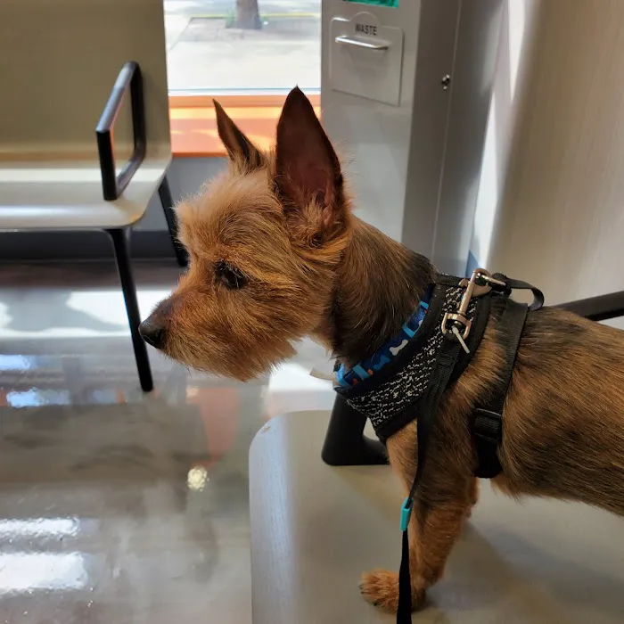 Value Veterinary Clinic 5