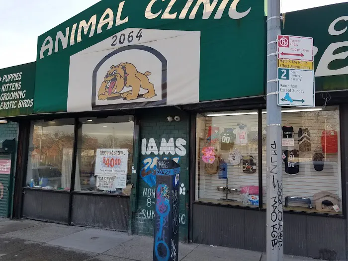 ANIMAL CLINIC 1