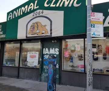 ANIMAL CLINIC