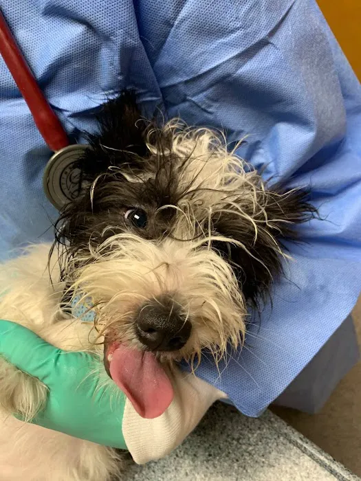 Middletown Animal Clinic 3