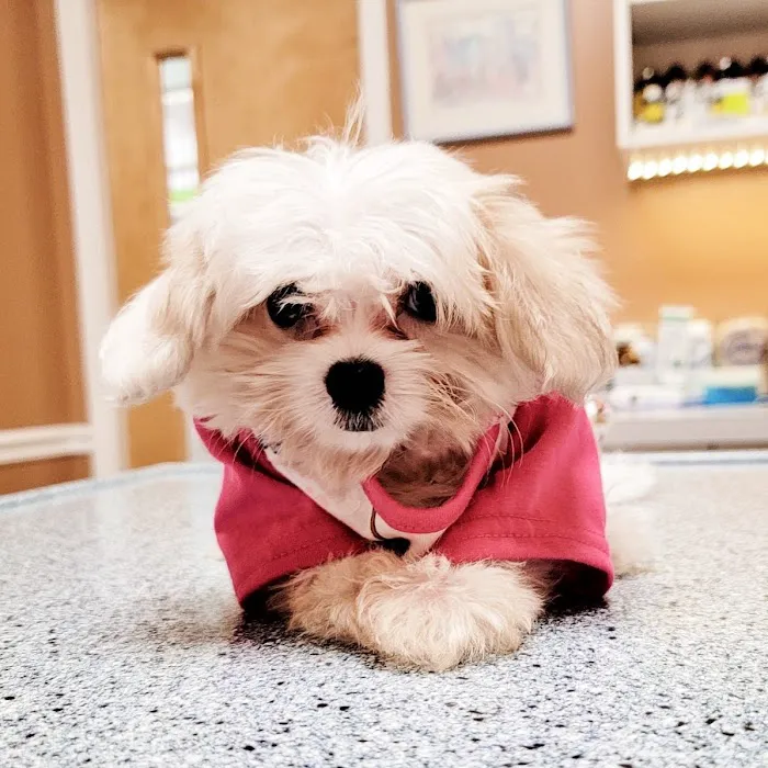 Middletown Animal Clinic 1