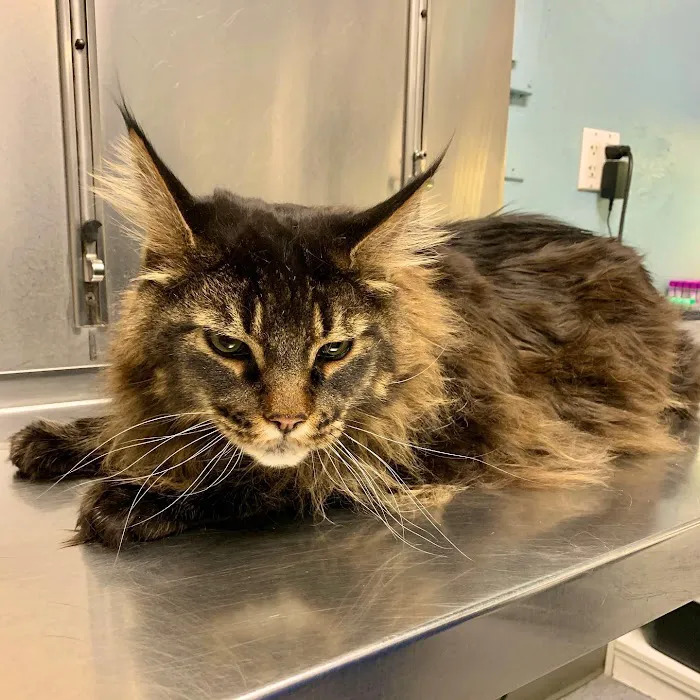 Middletown Animal Clinic 6