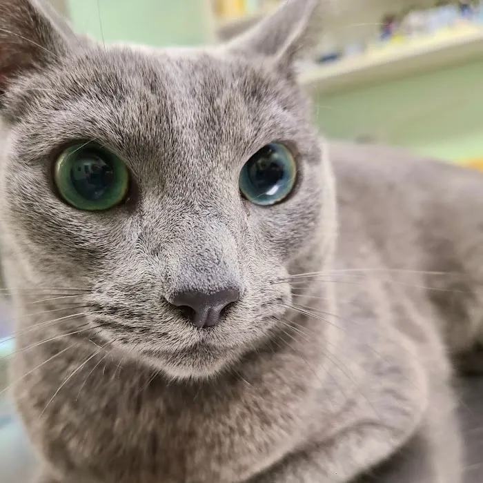 Middletown Animal Clinic 7