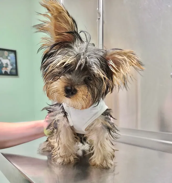 Middletown Animal Clinic 5