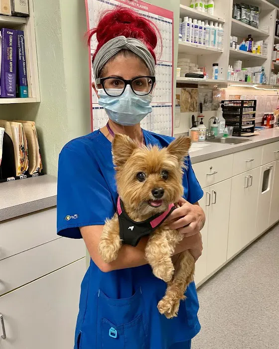 Middletown Animal Clinic 8