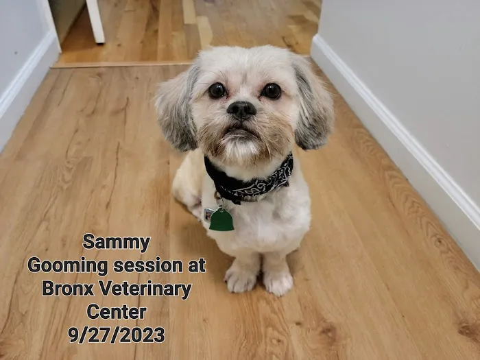Bronx Veterinary Center of Eastchester Road 3