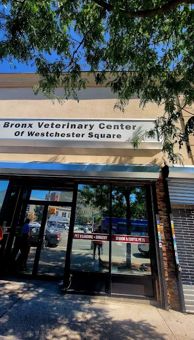 Bronx Veterinary Center of Eastchester Road 7