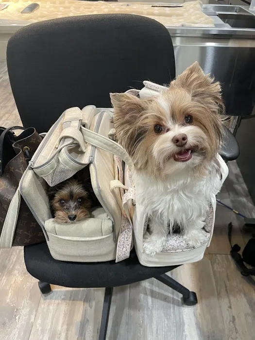 Bronx County Animal Hospital 8