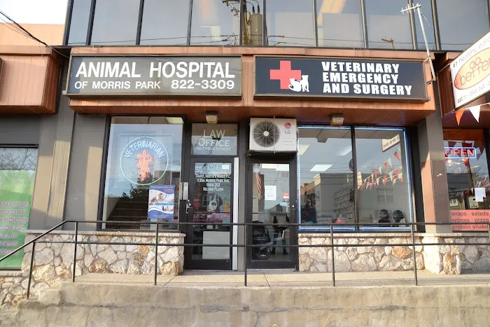 Animal Hospital of Morris Park 7