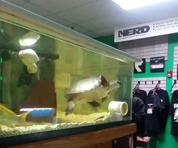 Zoo Creatures Pet Store