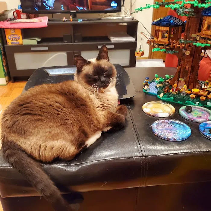 Astoria Veterinary Group 2