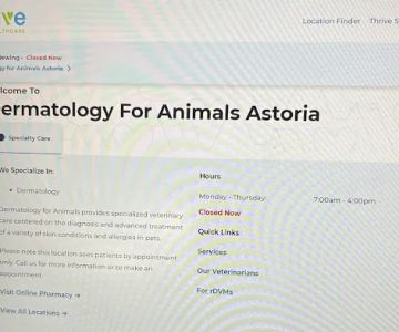 Dermatology for Animals - Astoria