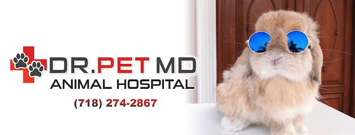 Dr Pet MD 12