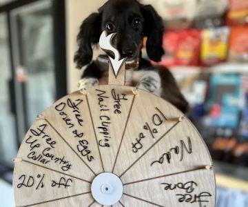 Fox Hill Farm Stand & Pet Store