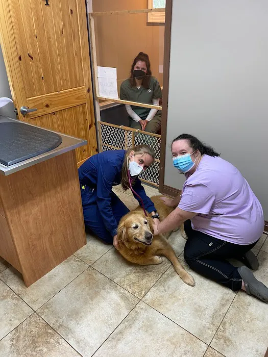 God's Creatures Animal Hospital 4