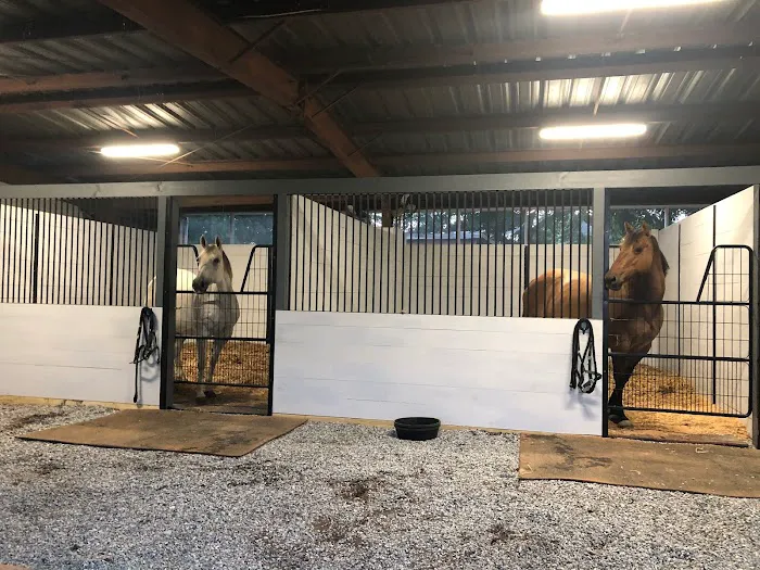 Campobello Equine Reproduction Services: Liliana Montoya, DVM 4