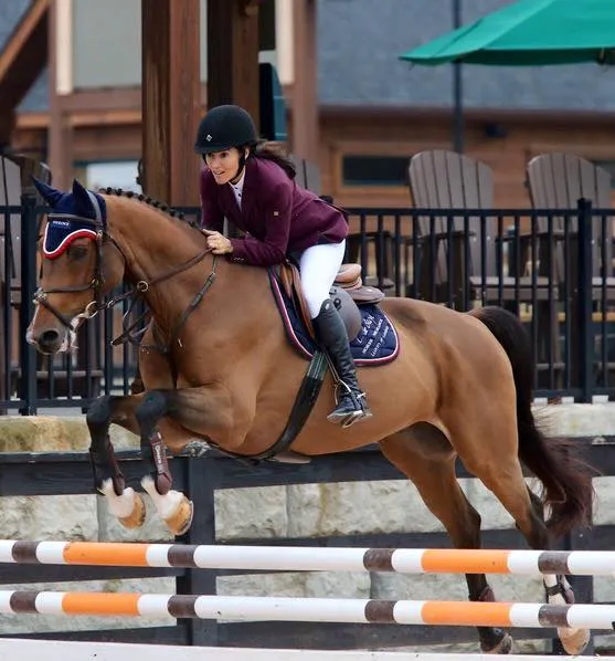 Campobello Equine Reproduction Services: Liliana Montoya, DVM 1