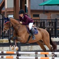 Campobello Equine Reproduction Services: Liliana Montoya, DVM ico
