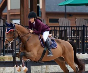 Campobello Equine Reproduction Services: Liliana Montoya, DVM