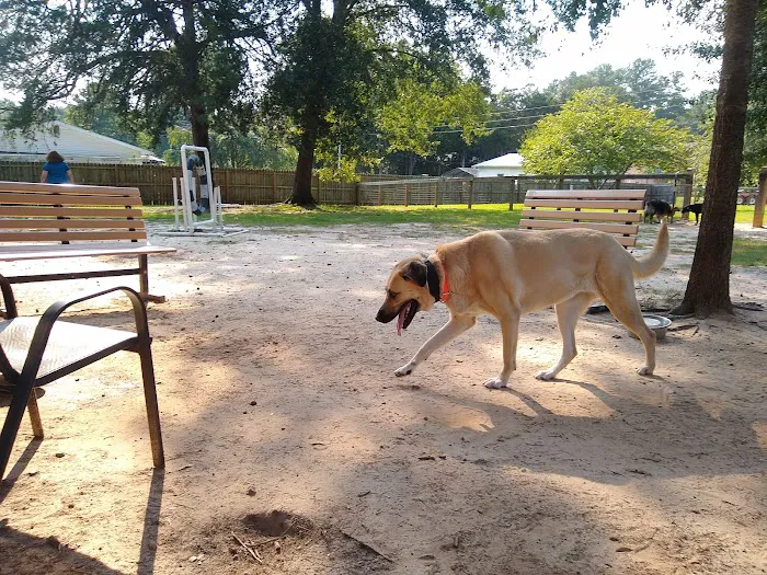 Landrum Veterinary Hospital 12