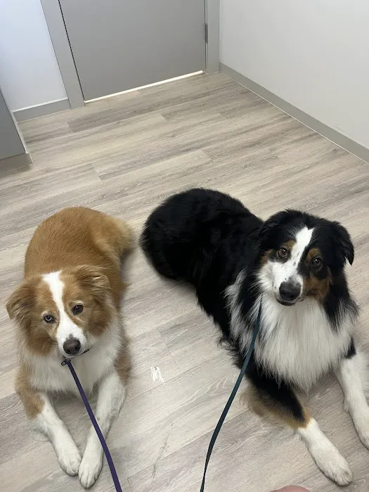 All Seasons Veterinary Hospital 2
