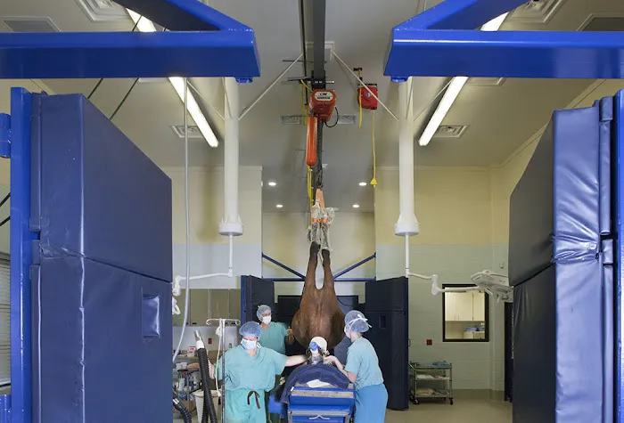 Tryon Equine Hospital 12
