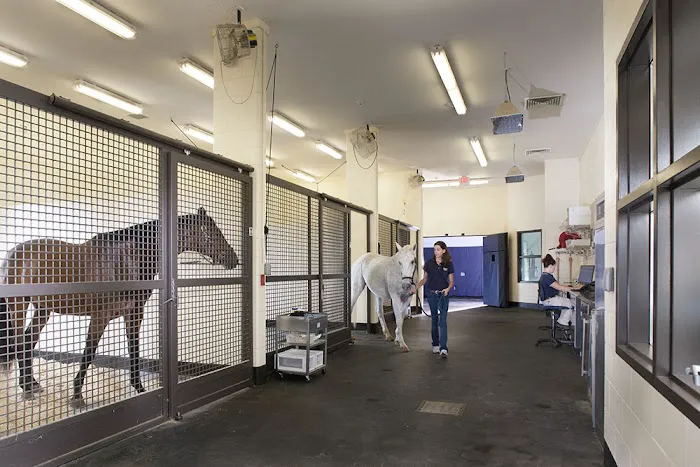 Tryon Equine Hospital 12