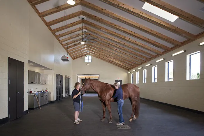 Tryon Equine Hospital 12