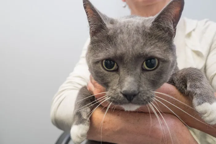 Bonnie Brae Veterinary Hospital 3