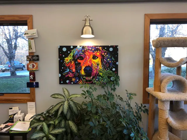 Bonnie Brae Veterinary Hospital 4