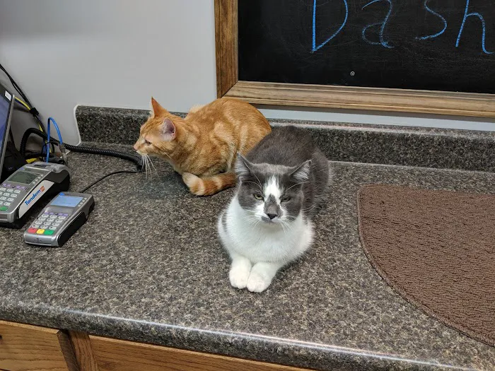 Creature Comforts Veterinary Resort and Suites, Inc. 12