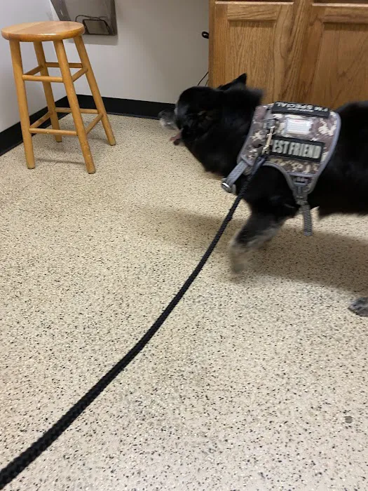 Creature Comforts Veterinary Resort and Suites, Inc. 12