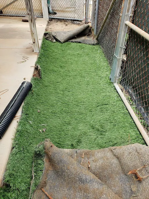 Creature Comforts Veterinary Resort and Suites, Inc. 12