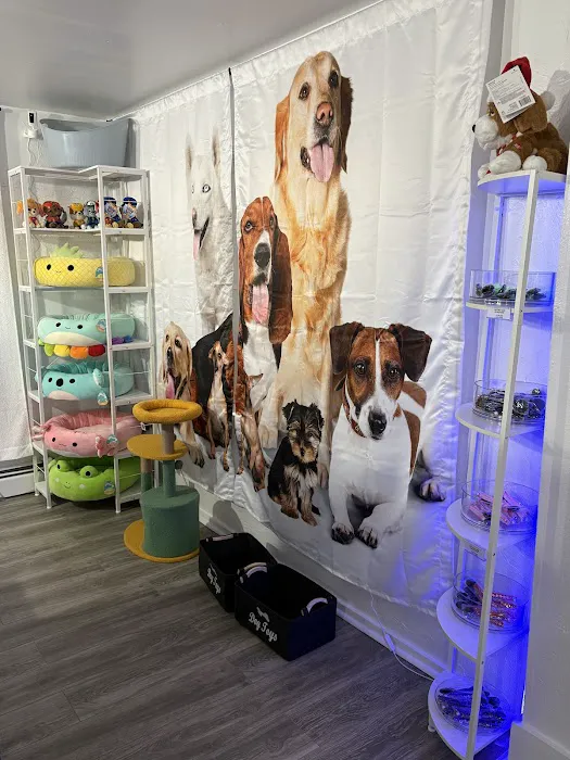 Avila Pet Store 8