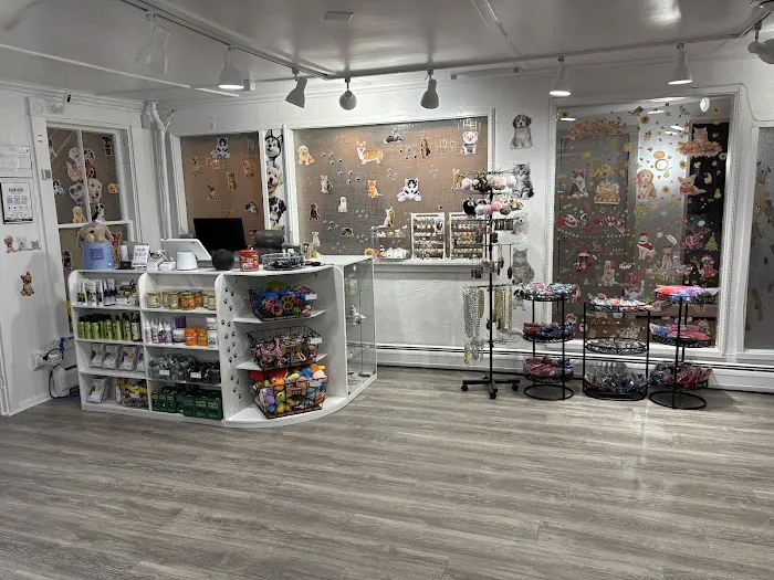 Avila Pet Store 10