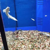 Winchester Aquarium & Pet Center ico