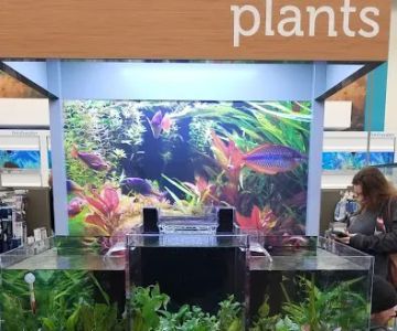 Petco