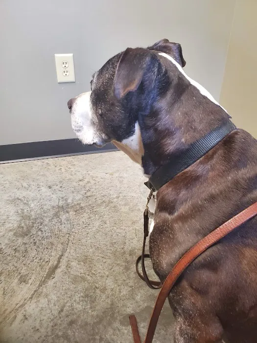 HealthPointe Veterinary Clinic 12